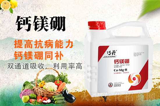 �����P(gu��n)ϵ�����A��ɽ�|�f��ȵ��m(x��)�s1988.TV��