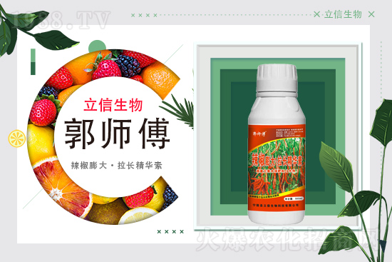 ���������m(x��)�s1988.TV���y�ֹ���(chu��ng)���x����