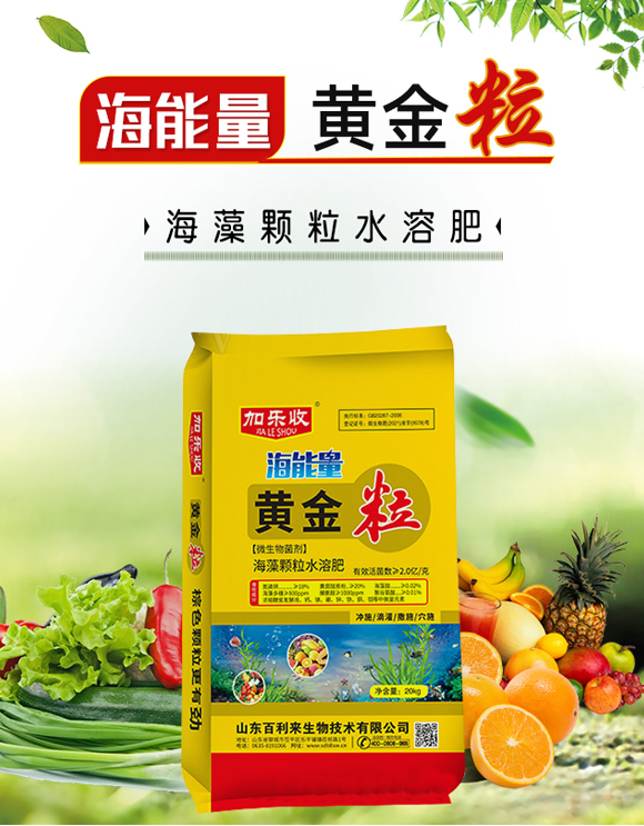 �S����-ɽ�|����������_01