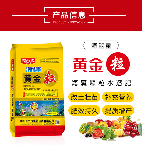 �S����-ɽ�|����������_02