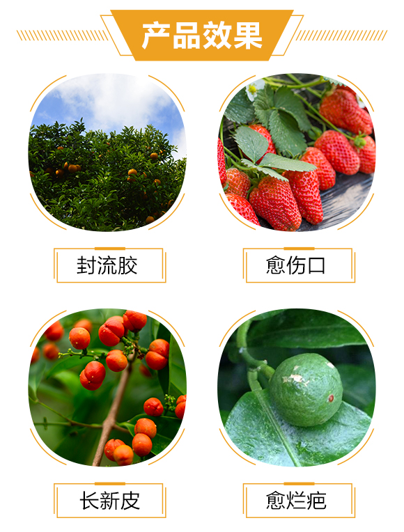 ����һ���r(n��ng)�I(y��)�Ƽ����޹�˾_03