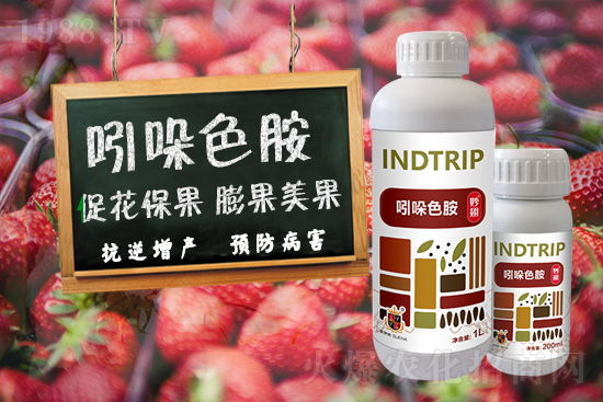 ���r(n��ng)���W(w��ng)ϲӭ���������������𱬁��u��