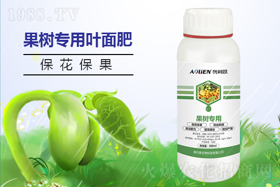 ���@�r(ji��)���ů��11��6�����@�r(ji��)������