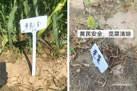 �α�2̖¡��������������죬�ɳ��{�˵��S�γ��݄������ݸ��V����ȫ����