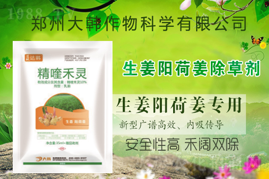 ���(y��ng)�ɽ���ô���������ش�ʲô���݄������(y��ng)�ɽ����ݷ�����ע�����(xi��ng)