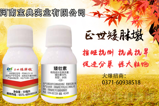 С����������(sh��)���ɓ�����(zhu��n)�I(y��)������Ч��������