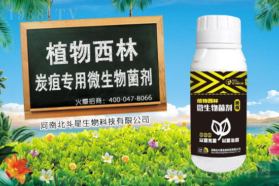 2021��2��3���r(n��ng)ˎ�����؃r���Ӎ