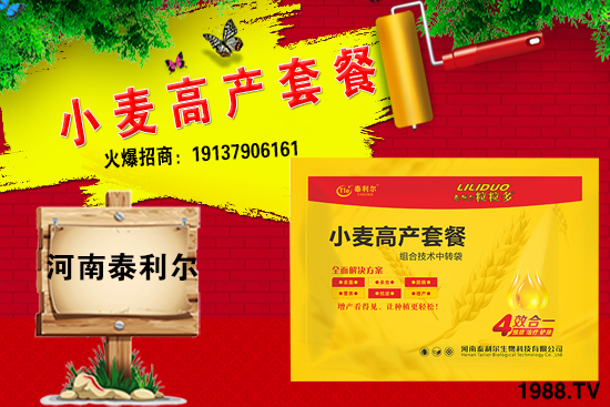 2021��2��С���r�������A�y���߄ݷ���