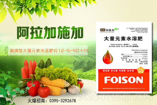 2��6��ȫ��С����r��С���r��ͻ��1.57Ԫ/��