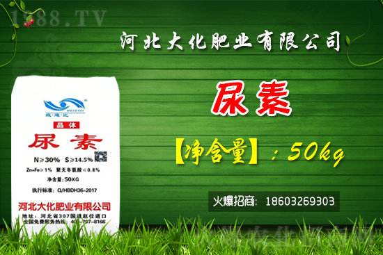 �t��������������Xһ�����Nֲǰ����Σ�