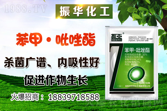 ���ԓ��ô�Nֲ������Nֲ�������h(hu��n)��Ҫ����