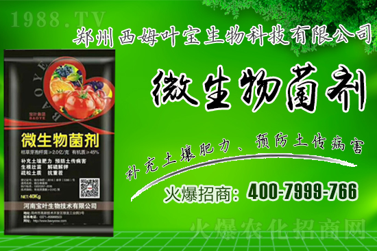 �����m��¶��������߲�Ʒ�N����Щ������Щ�Nֲע�������