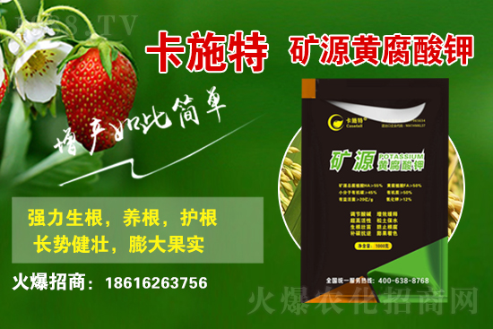 ���ջ����r(ji��)������X(qi��n)һ����2021��3��19�ջ����r(ji��)������