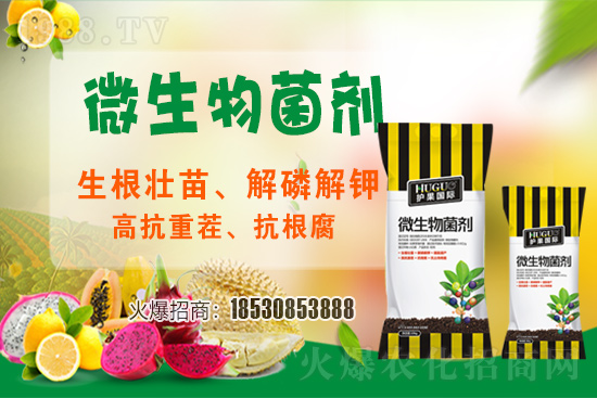 ��ݮ�����F(xi��n)���l���l(f��)������ҪԴ��ʲô������