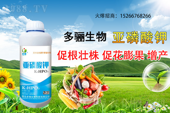 3�·��m�ϷNֲʲôˎ������Щˎ�ķNֲǰ������ٍ�X(qi��n)