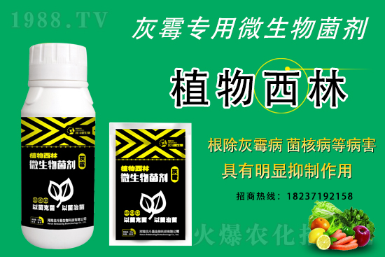 ��˪˪ù���������r(ji��)������2021��3��9��