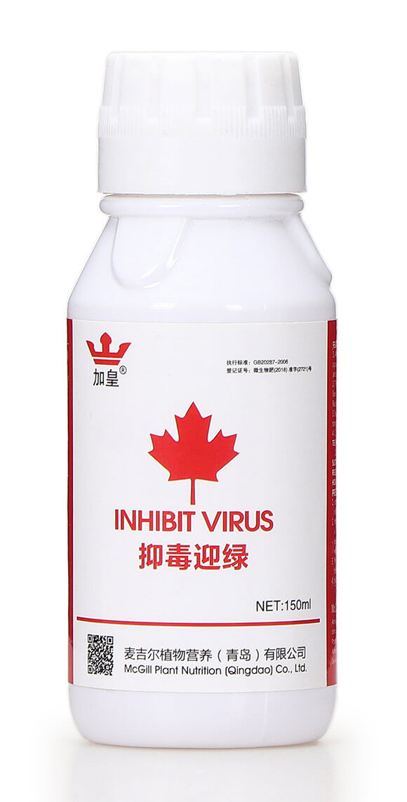 �ֶ�ӭ�G�����β������� �G��5