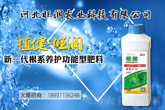 �{(l��n)ݮ��(sh��)����ô�Nֲ���{(l��n)ݮ��(sh��)��ķNֲ���޼����ݼ��g(sh��)��