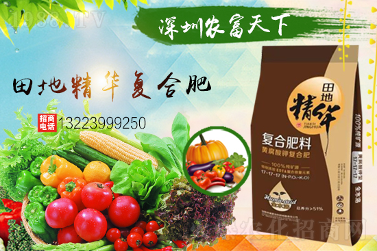 �����������������A���r(n��ng)�������ٺ�1988.TV��(chu��ng)���x����