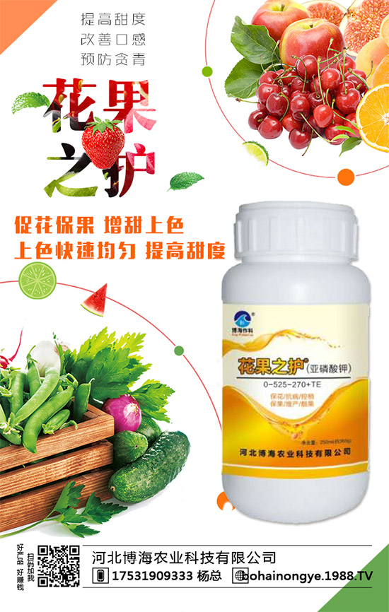 �����r(n��ng)���ٴ����v���r(n��ng)�����̾W(w��ng)�����F(xi��n)��I(y��)�°l(f��)չ��