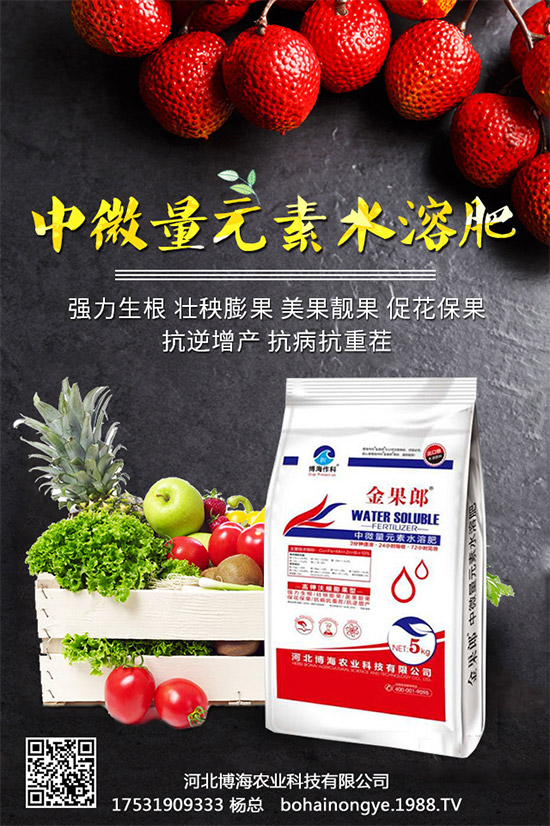 �����r(n��ng)���ٴ����v���r(n��ng)�����̾W(w��ng)�����F(xi��n)��I(y��)�°l(f��)չ��