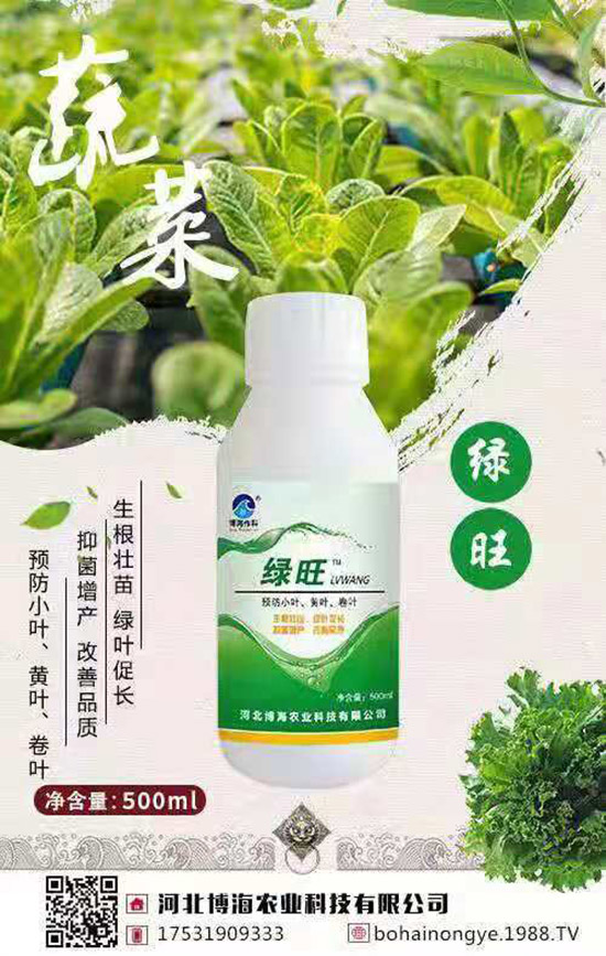 �����r(n��ng)���ٴ����v���r(n��ng)�����̾W(w��ng)�����F(xi��n)��I(y��)�°l(f��)չ��