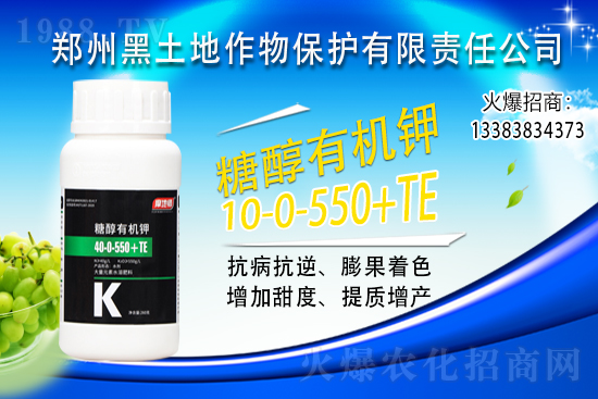 ⛷ʃr���j��500Ԫ/����2021��6��15��⛷ʃr������