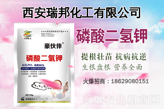 2021��6��17��⛷ʃr�������߄�