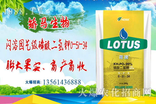 ⛷ʃr(ji��)���(ji��n)ͦ������⛷ʃr(ji��)�������߄�(sh��)��6��22�գ�