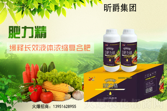 ���؃r��С���ϝq��2021��6��24�ո������؃r������һ�[