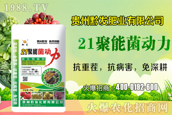 ǭ�l(f��)�ʘI(y��)�ٶȔy��1988.TV���y�ִ����������E��