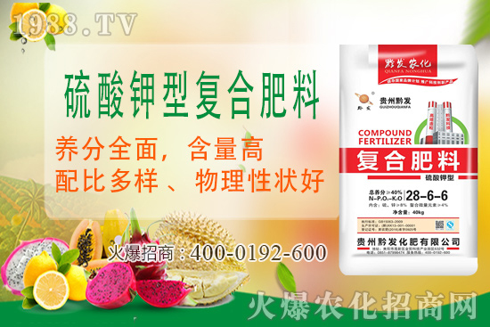 ǭ�l(f��)�ʘI(y��)�ٶȔy��1988.TV���y�ִ����������E��