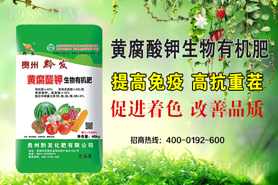 ǭ�l(f��)�ʘI(y��)�ٶȔy��1988.TV���y�ִ����������E��