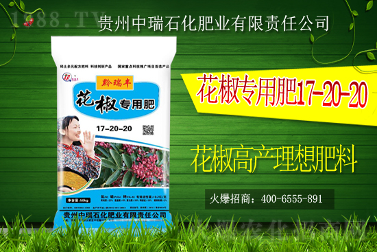     ����ʯ���ʘI(y��)�𱬁��u���ٺ����r(n��ng)�����̾W(w��ng)���_��(chu��ng)���x����