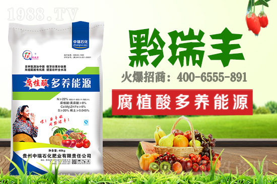     ����ʯ���ʘI(y��)�𱬁��u���ٺ����r(n��ng)�����̾W(w��ng)���_��(chu��ng)���x����