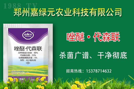 �������������ξGԪ�r�I(y��)�ٺ�1988.TV������(chu��ng)���x����