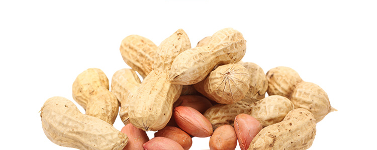 �������_10