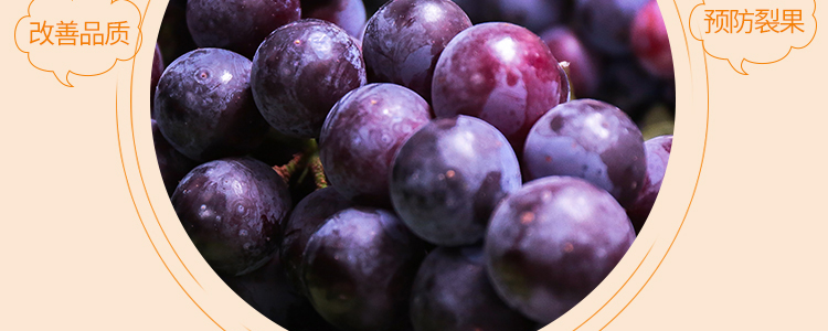 Ԕ���(y��)_13