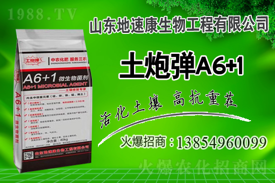    �����P(gu��n)ϵ�����A��ɽ�|���ٿ��c1988.TV�_����ƪ����