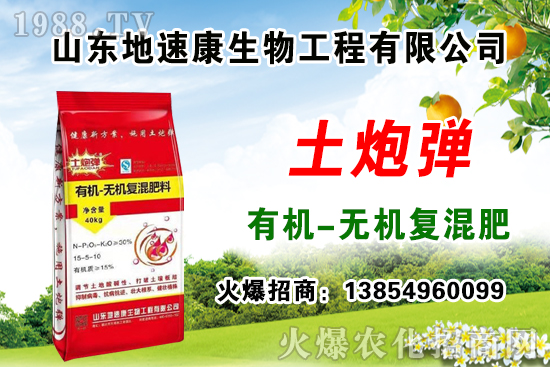    �����P(gu��n)ϵ�����A��ɽ�|���ٿ��c1988.TV�_����ƪ�£�