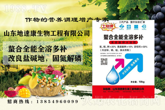    �����P(gu��n)ϵ�����A��ɽ�|���ٿ��c1988.TV�_����ƪ����