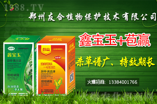 2021��7��26�����z���݄��r������