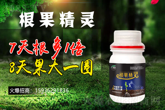 ��ɫ�и��m���m(x��)1988.TV�����\�����°l(f��)չ��