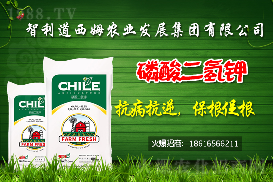 ��������ķ�ٺ�1988.TV���_���W(w��ng)�j(lu��)������ģʽ��