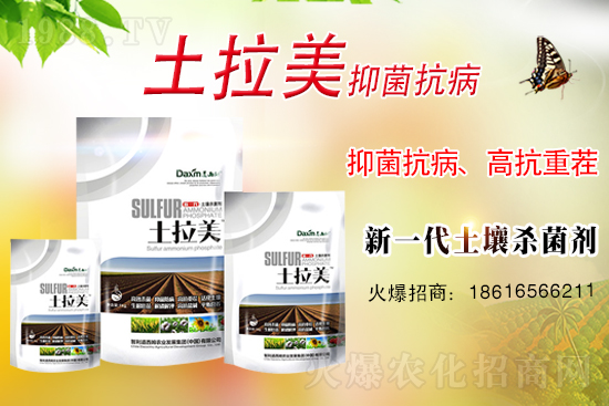 ��������ķ�ٺ�1988.TV���_���W(w��ng)�j(lu��)������ģʽ��