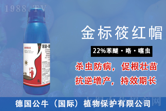 2021��8��14���S�Ϛ������r������