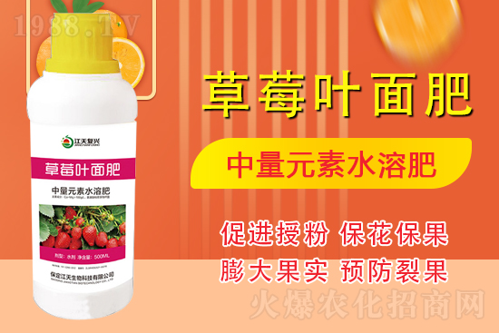 合作發(fā)展，共創(chuàng)未來，江天生物簽約1988.TV，共創(chuàng)新輝煌！