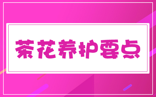 �軨�B(y��ng)�o(h��)Ҫ�c(di��n)