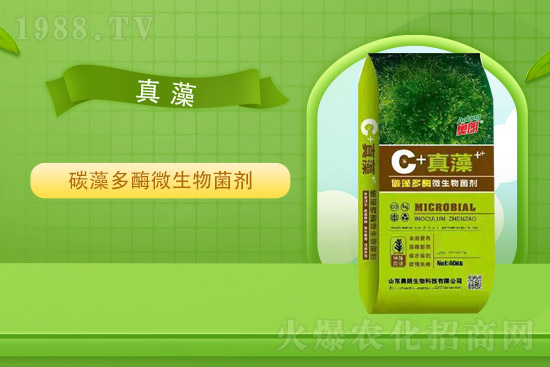 �Ȼ�⛃r��ƽ��(w��n)��2021��9��2�Շ���⛷ʃr���߄�