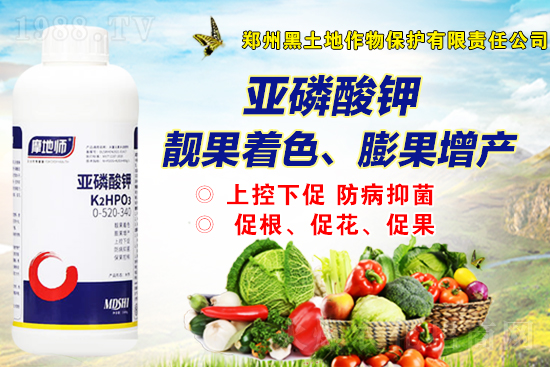 һ�@�Ј�(ch��ng)��(b��o)�r(ji��)��2021��9��2�����@�r(ji��)������